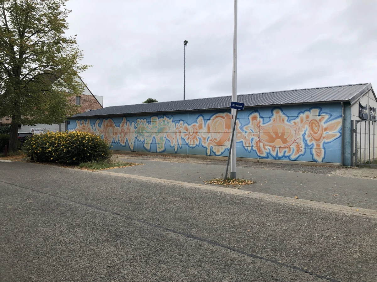 Boeckout