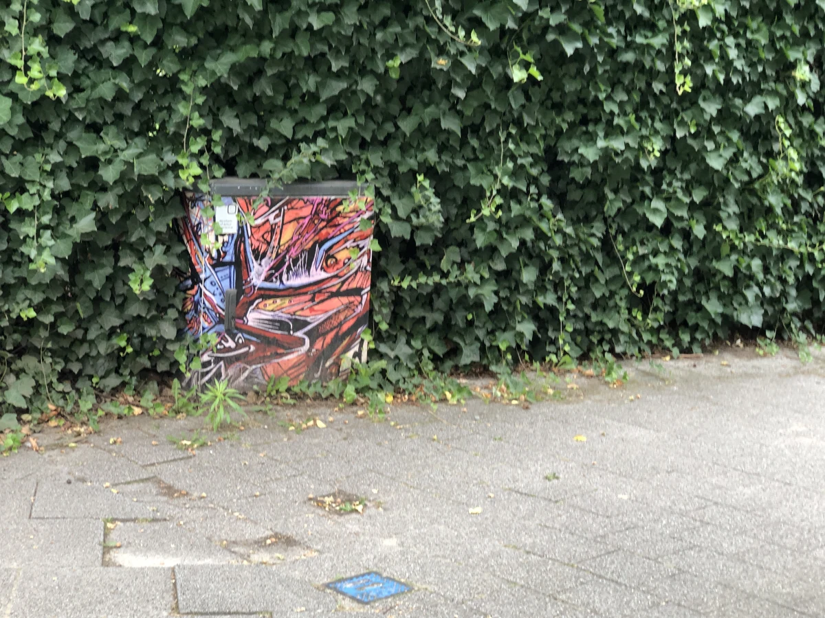 Boeckout