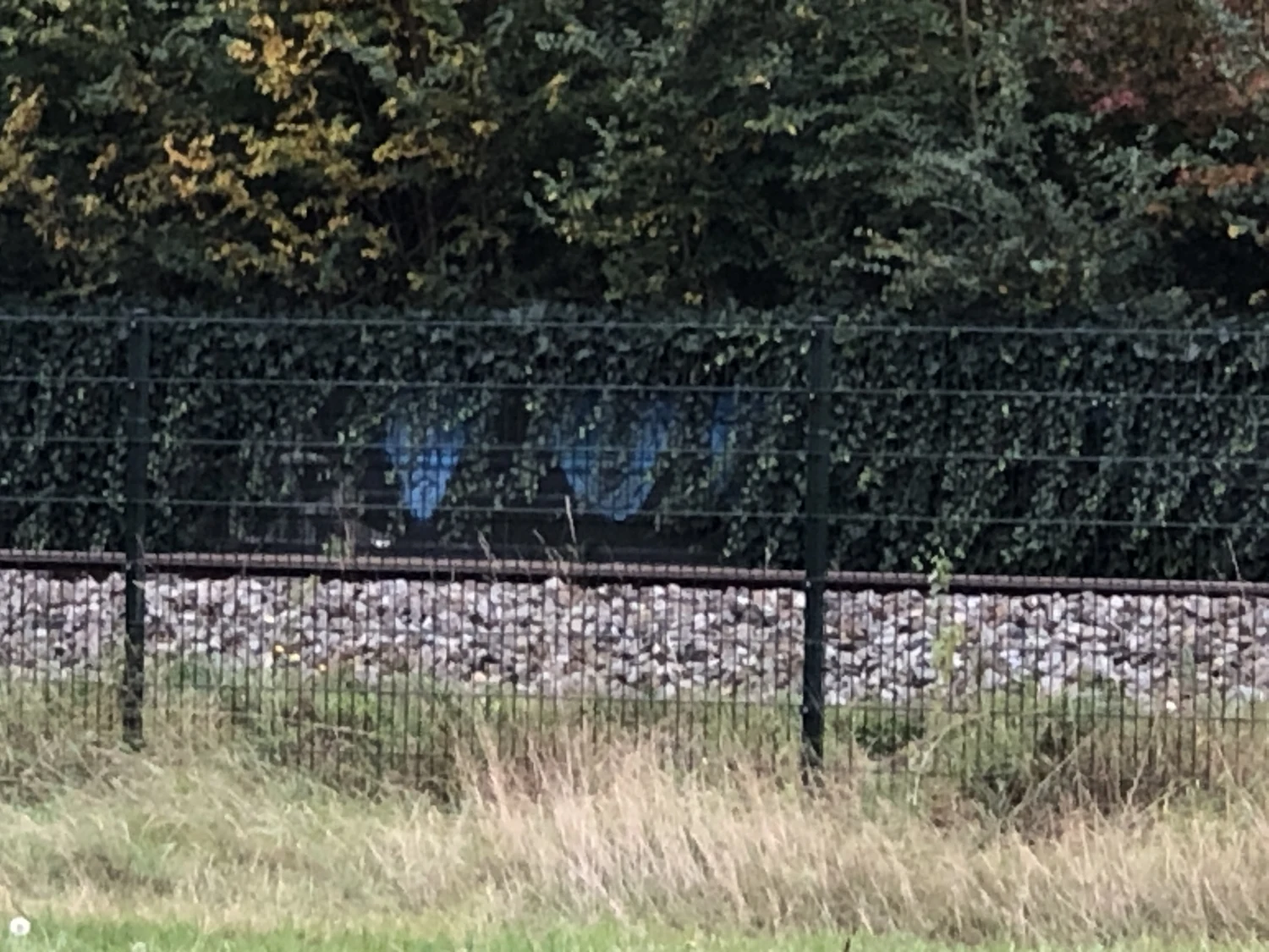 Breda
