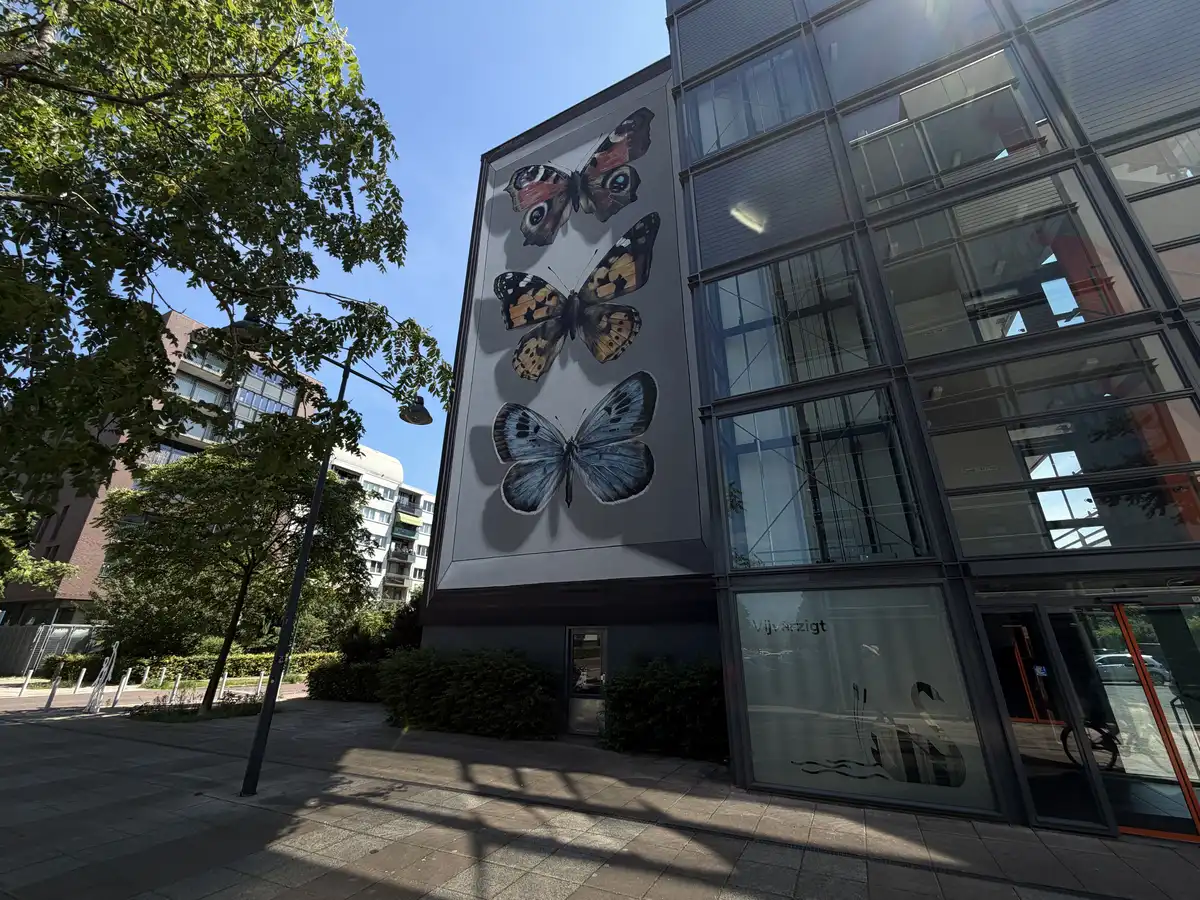 Breda