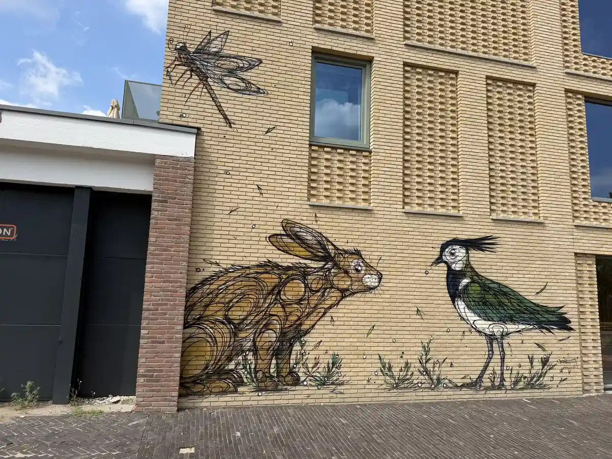 Breda