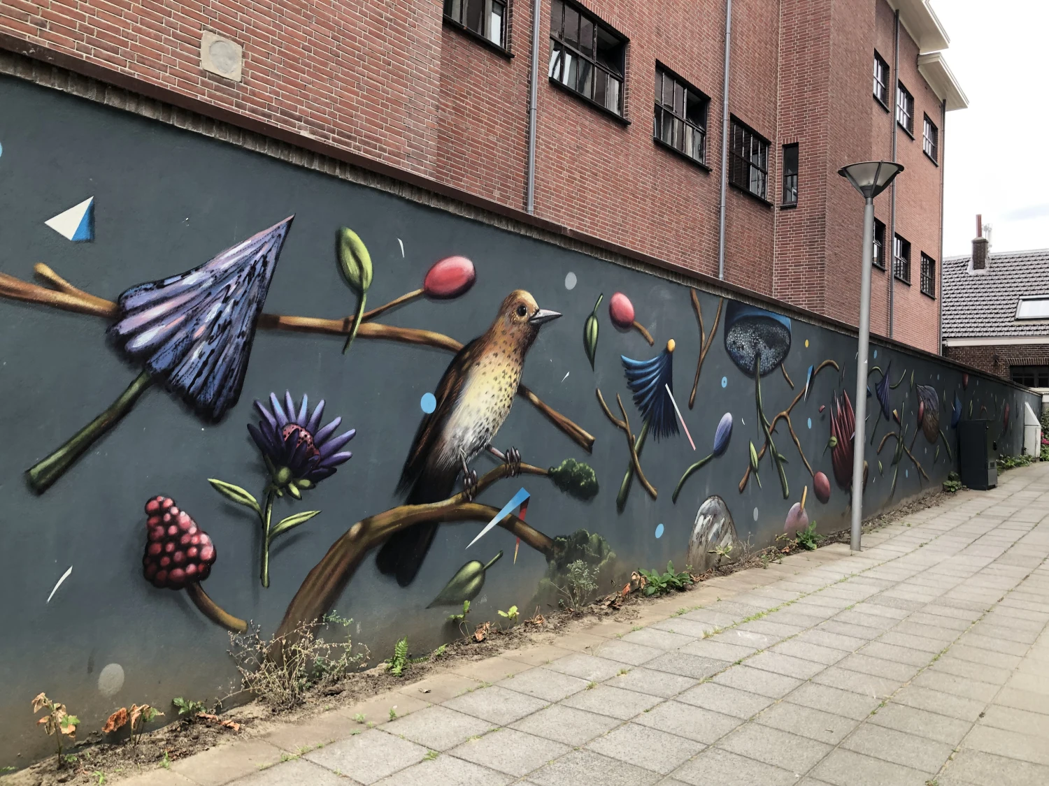 Breda