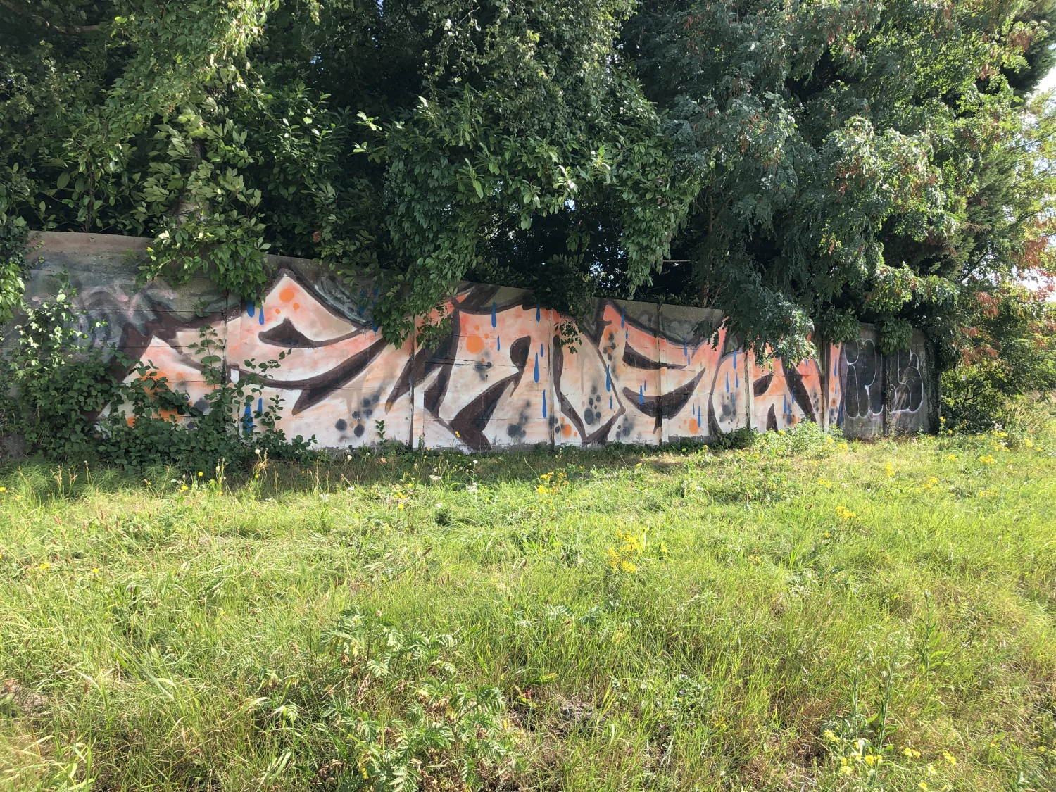 Breda