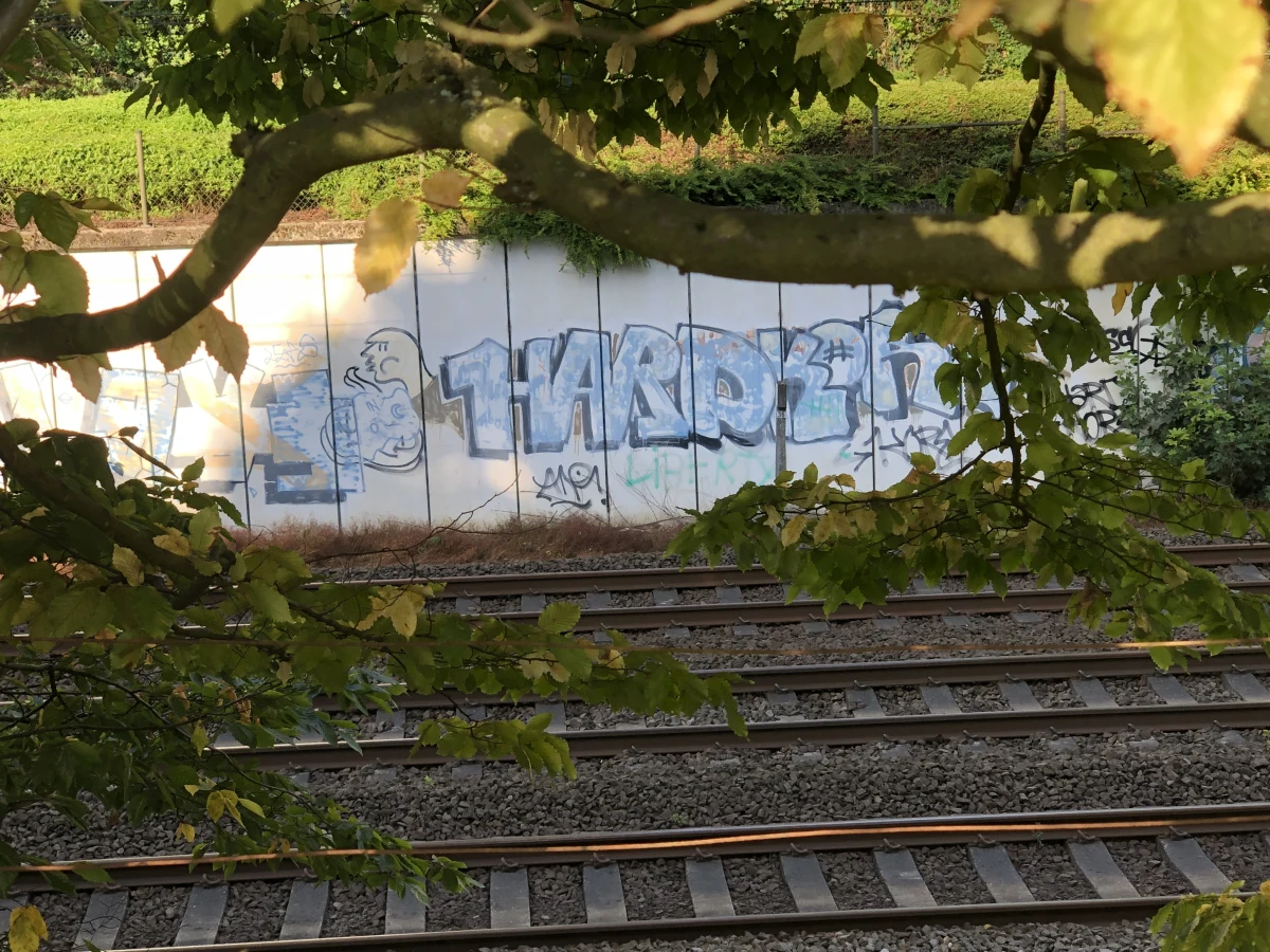 Hove