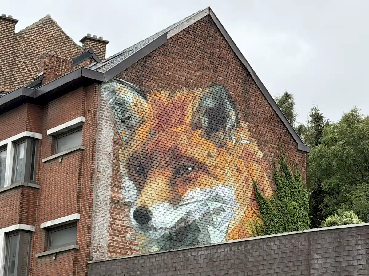 Diestsesteenweg