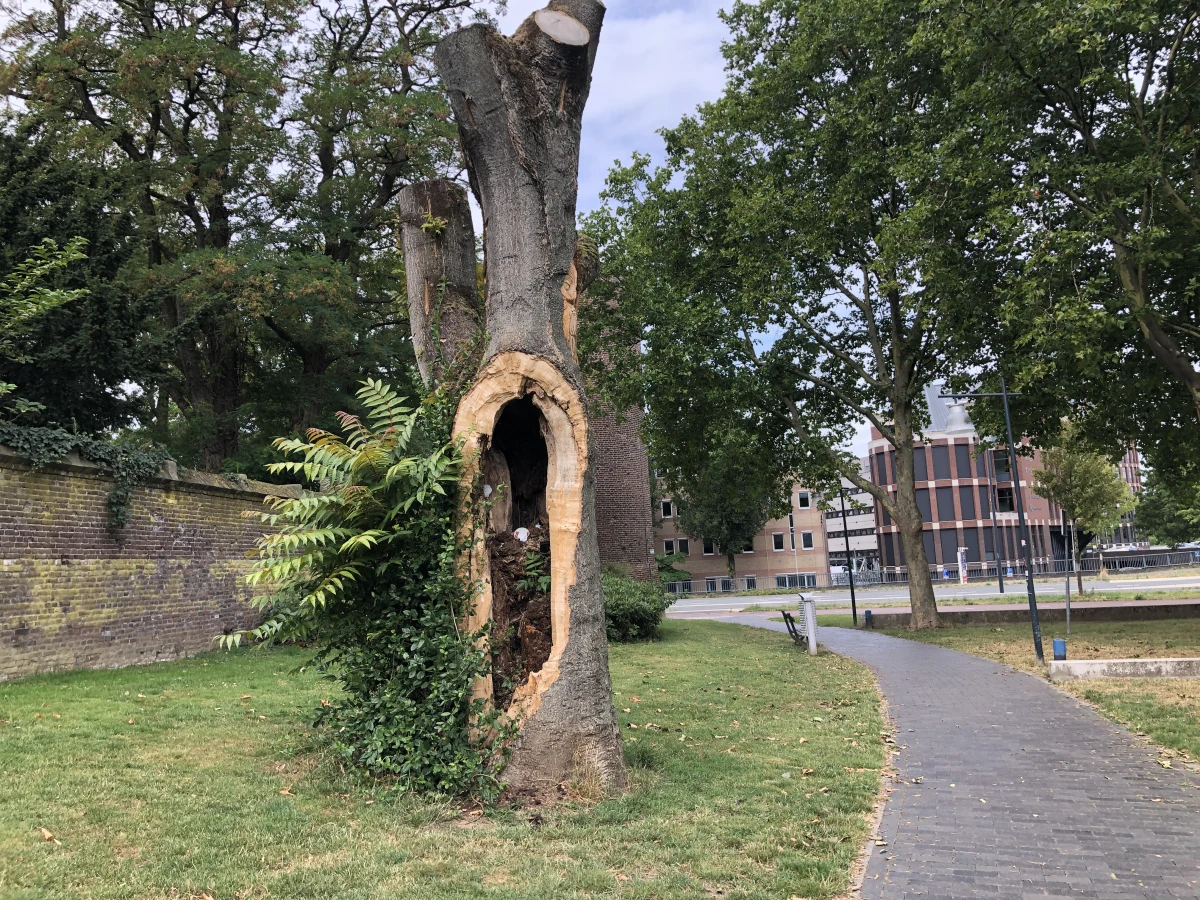 Roermond