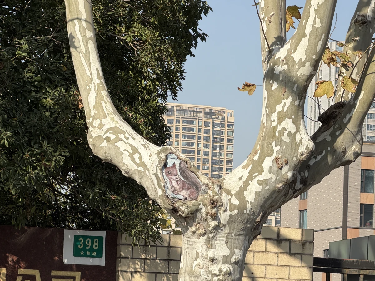 Shanghai
